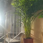 Casa Ti Ospito Io 度假居 卡塔尼亚