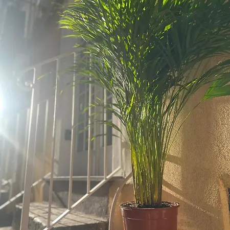 Casa Ti Ospito Io Ferienhaus Catania